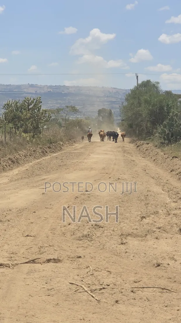 Vipande 50x100 kwa Uuzaji JB Pipeline, Nakuru - 1