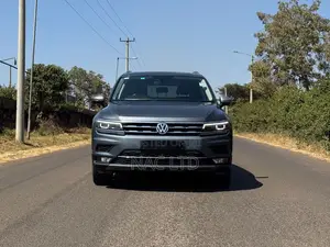 2019 Volkswagen Tiguan 2.0T SEL Premium AWD 4MOTION Gray