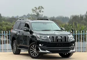 Toyota Land Cruiser Prado 2.8 2019 Modelista