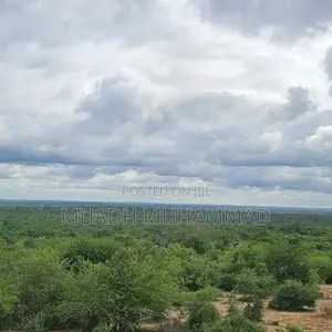 Ekari 92 za Kuuzwa Kilifi | KES 120,000 Kwa Ekari