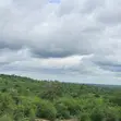 Ekari 92 za Kuuzwa Kilifi | KES 120,000 Kwa Ekari - 2