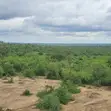 Ekari 92 za Kuuzwa Kilifi | KES 120,000 Kwa Ekari - 3