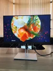 HP EliteDisplay E24 G4 FHD Monitor - 1