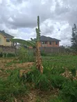 Kitalu Bora cha Makazi Ruiru Thika 40x80 Membly Park Estate - 3