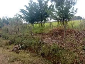 10 Acres for Sale in Ngata, Nakuru