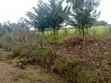 Eka 10 za Kuuzwa Ngata, Nakuru - 1