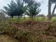 Eka 10 za Kuuzwa Ngata, Nakuru - 3