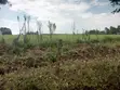 Eka 10 za Kuuzwa Ngata, Nakuru - 4