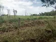 Eka 10 za Kuuzwa Ngata, Nakuru - 5