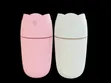 Rose Humidifier - 300ml Water Tank - 1