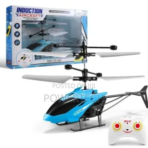 Induction Flight RC Model