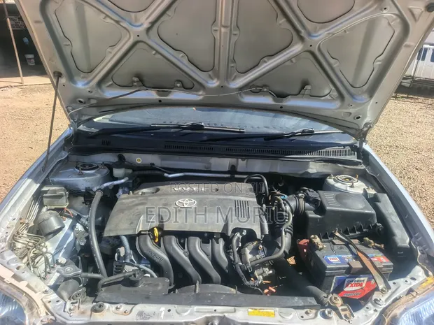 Toyota Corolla Fielder 2006 Silver - 1