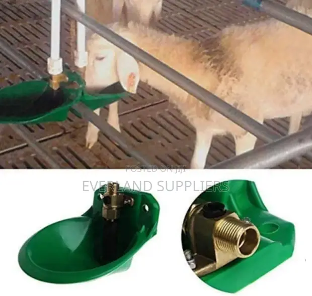 Goat Hydration Bowl Drinker - 1