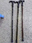 Printed Walking Stick - 2