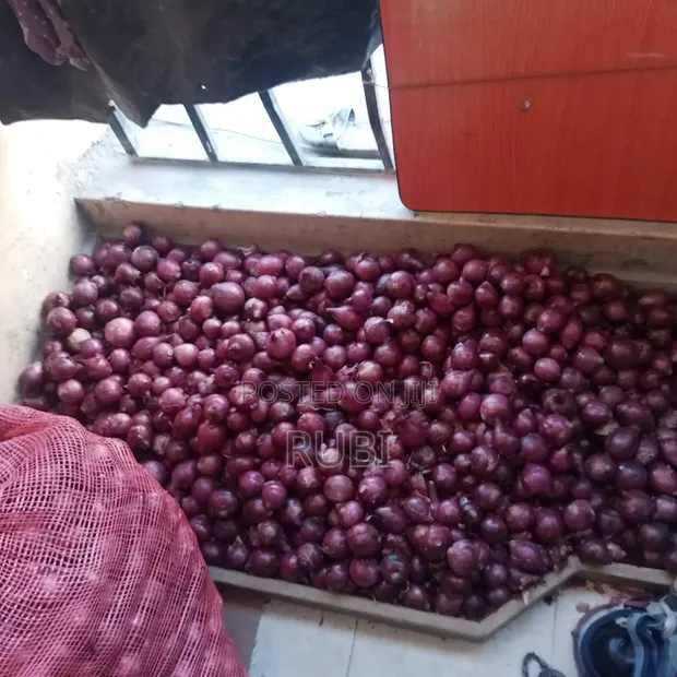 Red Onions for Sale - 1