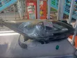Mazda Axela 2012 Headlight - 1