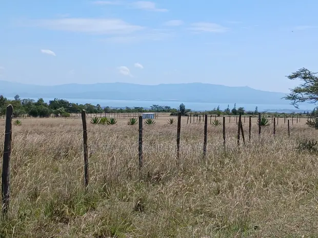 Naivasha 50x100 Plots for Sale - KES 750,000 - 1
