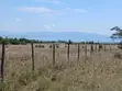 Viwanja 50x100 Naivasha kwa Mauzo - KES 750,000 - 1