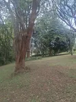 5 Acres Land for Lease in Lower Kabete, Nairobi - 1