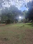 5 Acres Land for Lease in Lower Kabete, Nairobi - 2