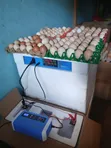 320 Egg Incubator Inafanya Kazi Kiotomatiki - 2