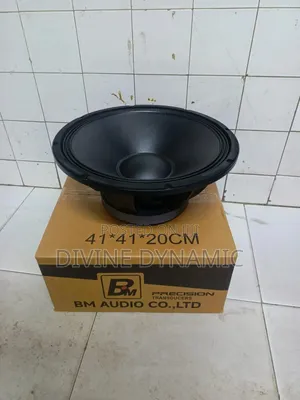 BM Audio 15-Inch Speaker Naked