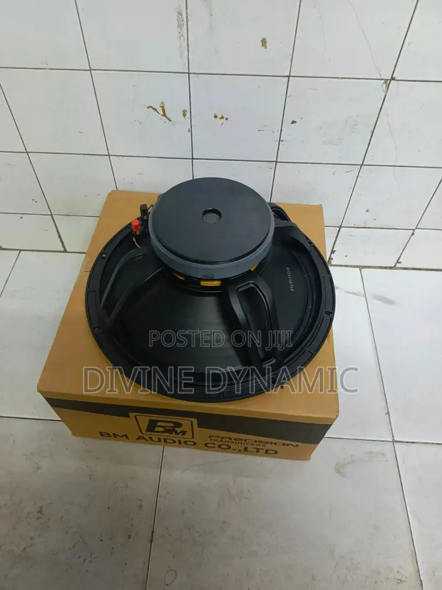 15-Inch BM Mid-Range Speaker - 1