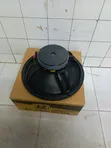 15-Inch BM Mid-Range Speaker - 1