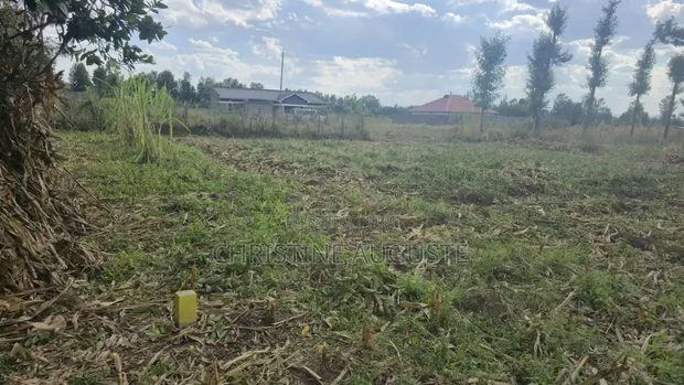 Nakuru 50/100 Plots in Mangu Mastoi - 1
