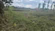 Nakuru 50/100 Plots in Mangu Mastoi - 1
