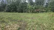 Nakuru 50/100 Plots in Mangu Mastoi - 2