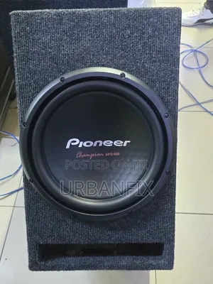 Pioneer TS-W312D4 1600W Double Coil Subwoofer with Cabinet