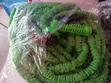 Magic Flexible Hose Pipe 50ft - 1