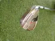 TaylorMade RSI 1 SW 55° Steel Wedge - 1
