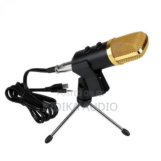 BM-100 USB Condenser Recording Microphone - 1