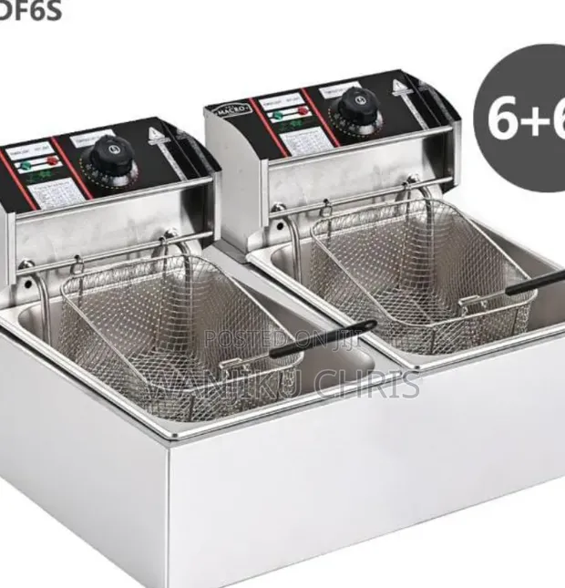 Electric Stainless Steel Double Deep Fryer - 1