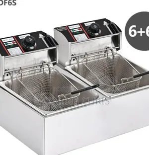 Electric Stainless Steel Double Deep Fryer