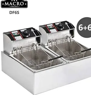 Electric Stainless Steel Double Deep Fryer