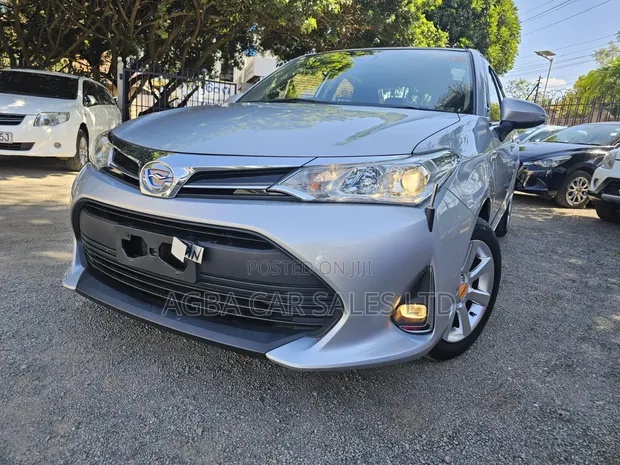 Toyota Axio 2019 Silver Hybrid - 1