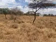 3 Acres Ewuaso Oo Nkidongi Area Land for Sale - 4