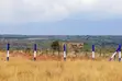 Pazuri Gardens Ngong - Ardhi Inauzwa - 5
