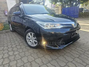 Toyota Corolla Fielder 2019 Hybrid