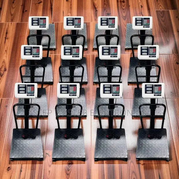 Digital Platform Weighing Scale (100kg-300kg) - 1