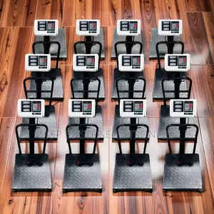 Digital Platform Weighing Scale (100kg-300kg)