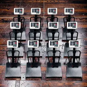 High Accuracy Digital Platform Weighing Scales (100kg-300kg)