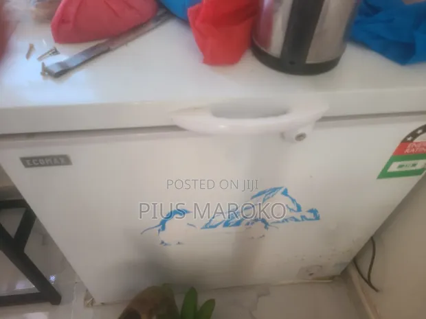 ECHO Upright Home Freezer - Used - 1