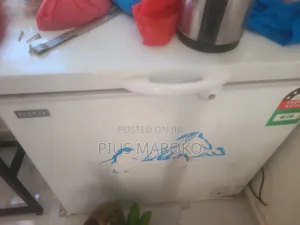 ECHO Freezer ya Kusimama - Imetumika