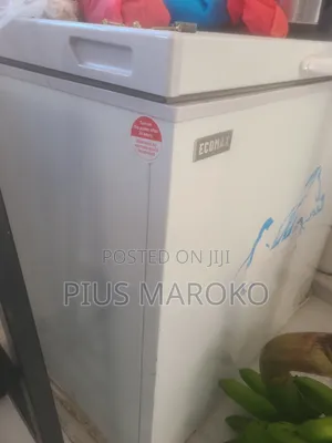 ECHO Upright Home Freezer - Used
