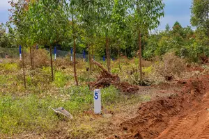 Kamangu-Kikuyu Plots 500m from Tarmac