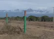 Kitalu Bora cha Kuuzwa Nanyuki - 1